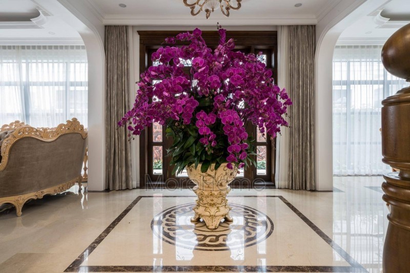 Thi công nội thất trọn gói Hải Phòng